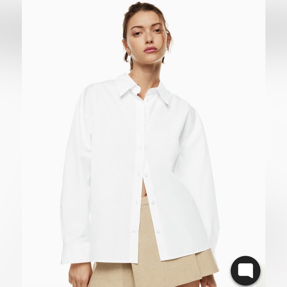 Aritzia Babaton essential oversized shirt